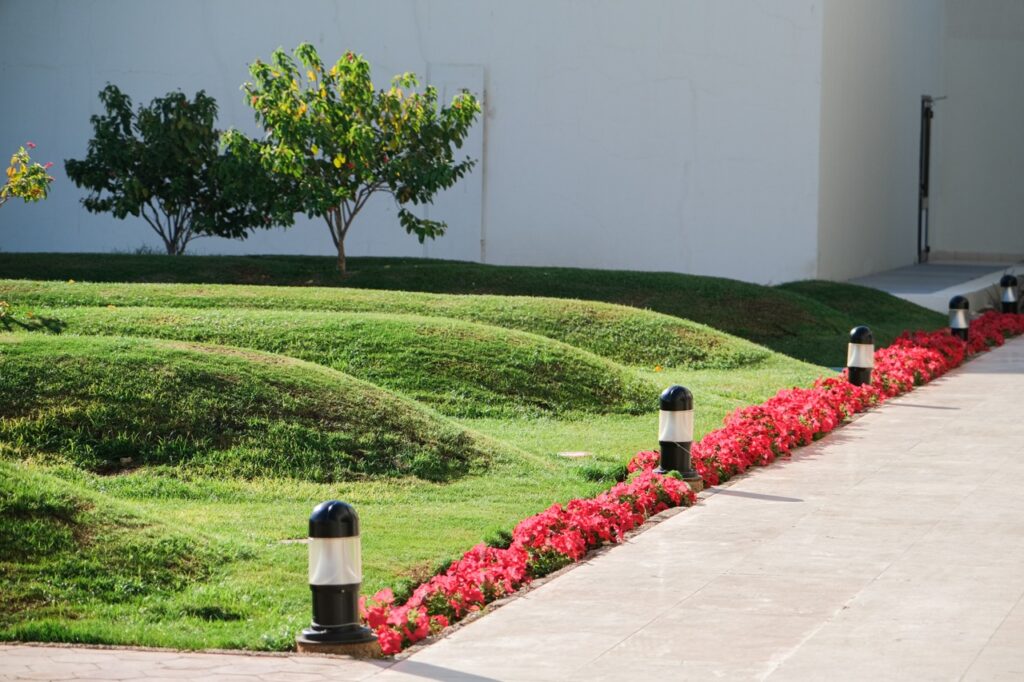 Row of pink flowers along a paved walkway with decorative black-and-white bollards, green mounds, trees, and a white building in the background.