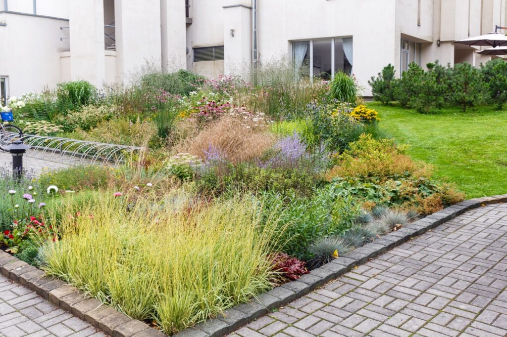 Landscaped garden border with tall ornamental grasses and colorful flowers along a paved walkway beside a beige building, bike rack visible on left and lawn on the right.